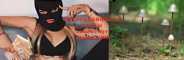 spice Баксан