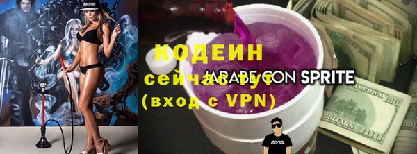 дживик Богородицк