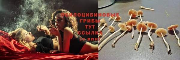spice Баксан